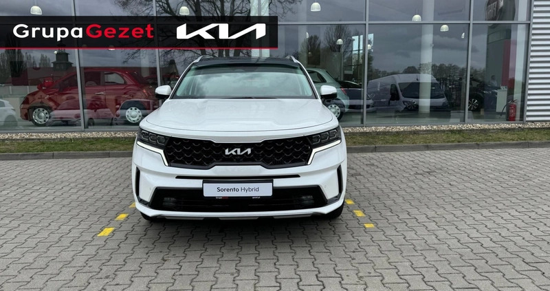 Kia Sorento cena 237057 przebieg: 5, rok produkcji 2023 z Tarczyn małe 121